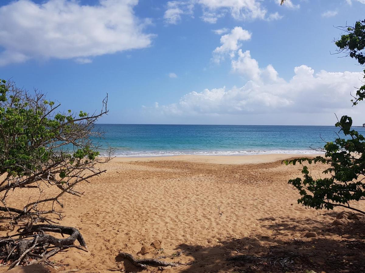 L'Aurielle, Tout Le Confort A 500M De La Plage Sainte-Rose Kültér fotó