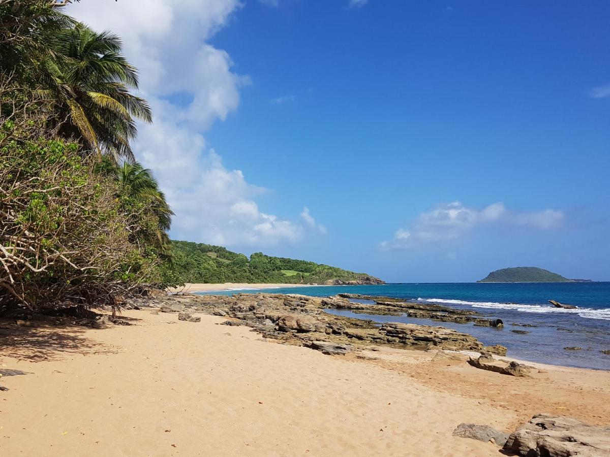 L'Aurielle, Tout Le Confort A 500M De La Plage Sainte-Rose Kültér fotó